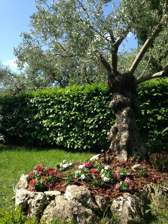 Da Debbie San Giovanni In Marignano Pokoj fotografie